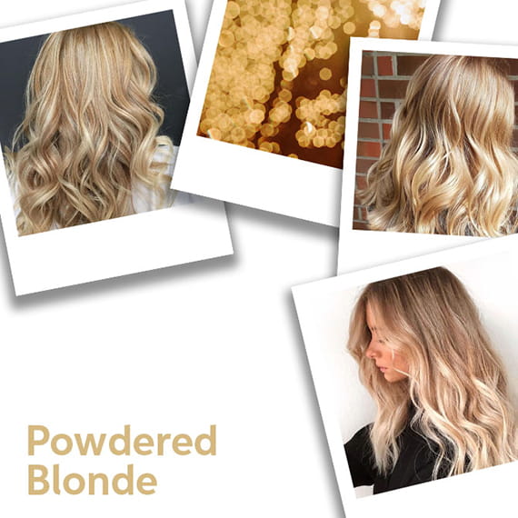 10 Blonde With Brown Highlights Formulas