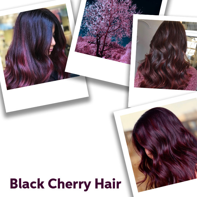 Image of black cherry hair, created using Wella Professionals 
