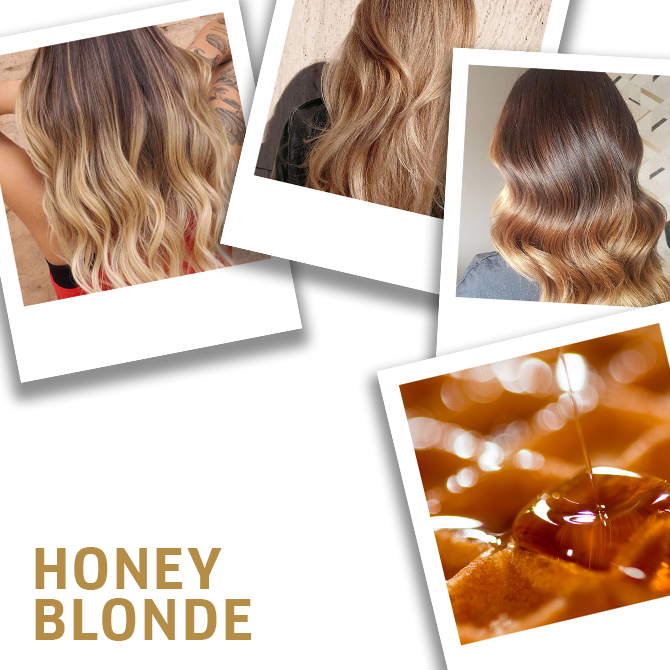 How to Get Honey Blonde Hair Color  LOréal Paris