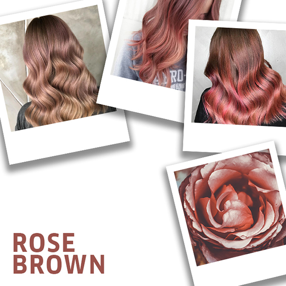 Collage of rose brown hair color ideas.