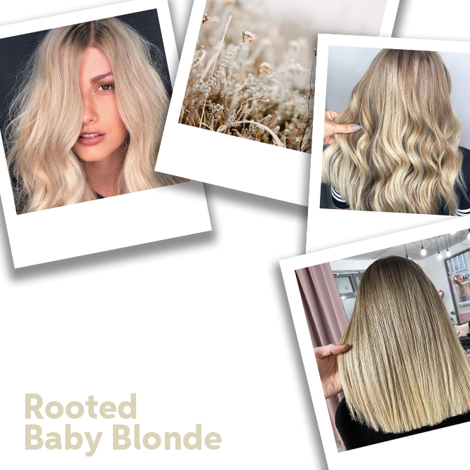 Close up of Rooted Baby Blonde Hair
