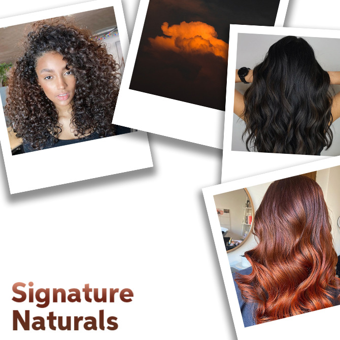 Close up of Signature Naturals Hair