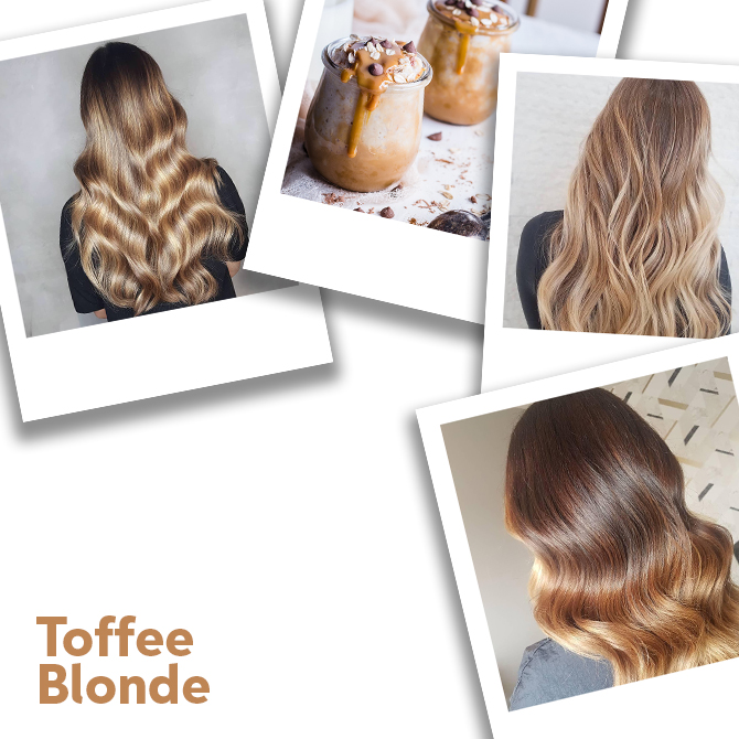 Toffee Blonde Color Formulas | Wella Professionals