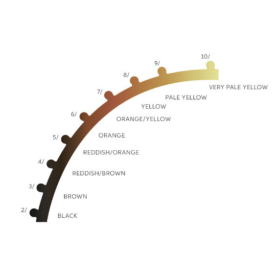 Hair Level Scale Chart Set Checking Hair Brightness for Hair Salon and Hairdresser