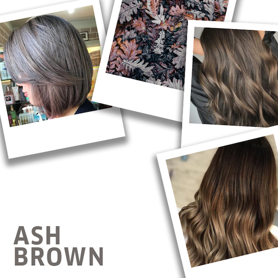 Mocha brown with ash blonde highlights and a black underneath.