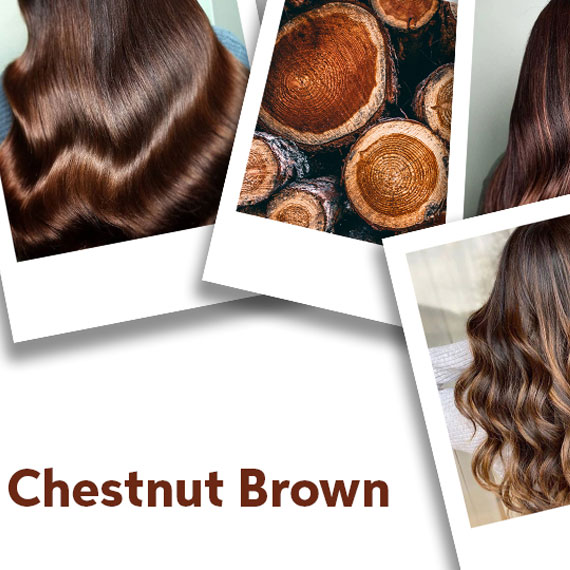 Chestnut Hair Color Ideas