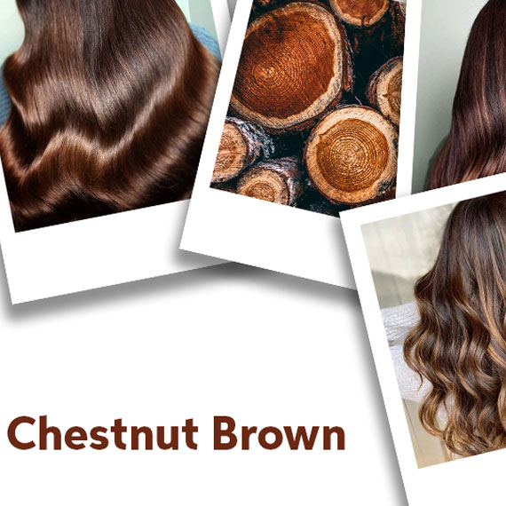 Chestnut Brown Hair Color Ideas Formulas Wella Professionals