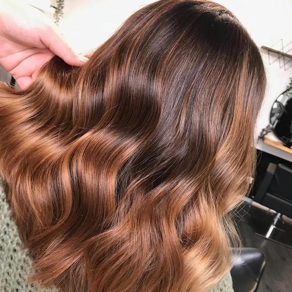 Back of woman’s head with tousled, chestnut brown hair, created using Wella Professionals.
