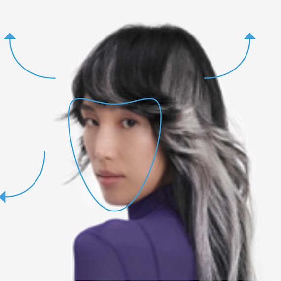 Model with long, black hair and silver grey highlights looks directly into the camera.