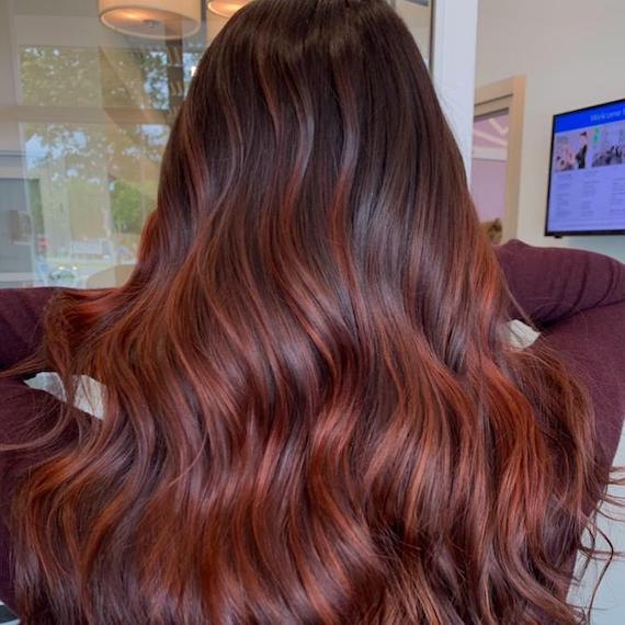 Photo of the back of a woman’s head, featuring long dark brown hair with red highlights, created using Wella Professionals.