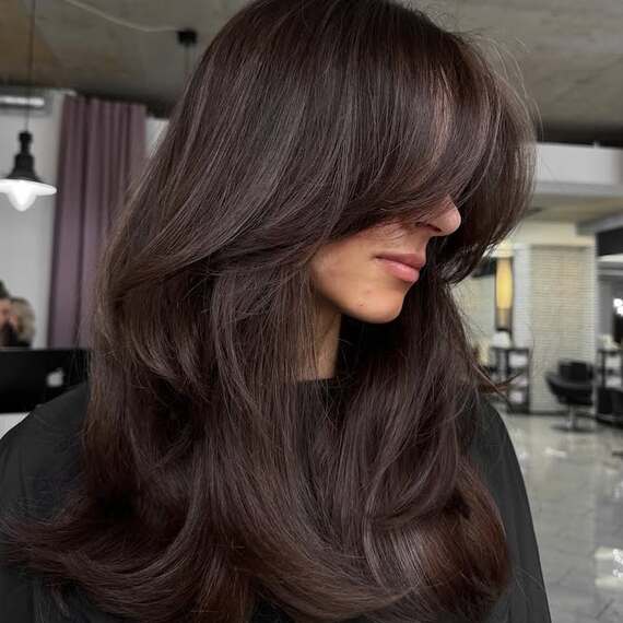 Model with dark espresso brown hair featuring subtle, cool-toned highlights.