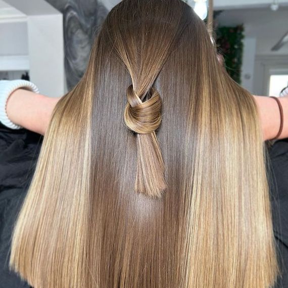 Back of model’s head with long, straight, shiny brown hair and blonde highlights.