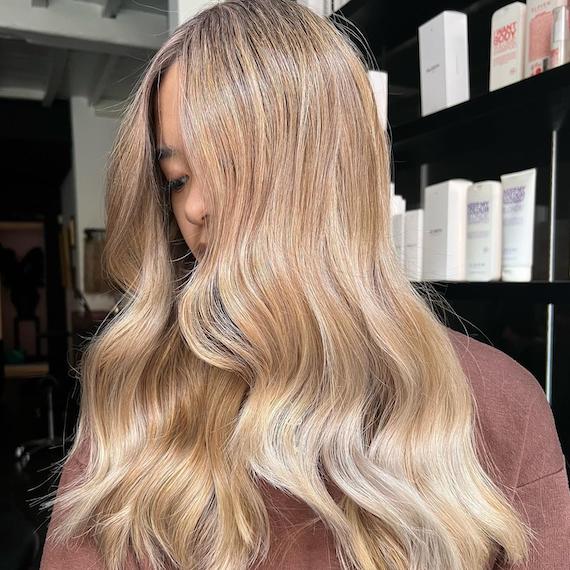 Honey blonde deals