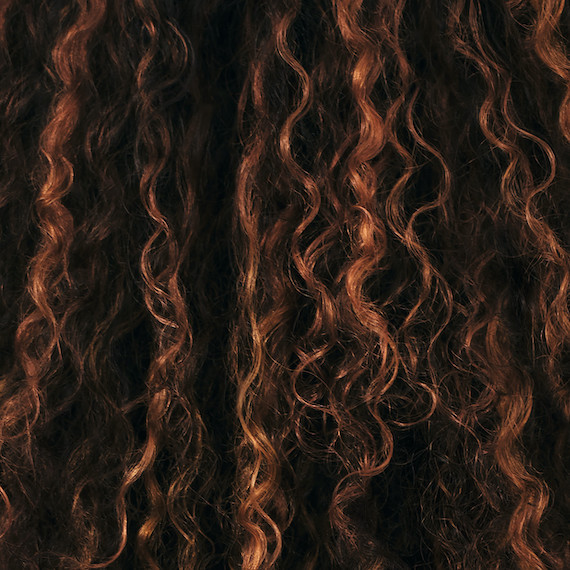 Close-up of curly, brown hair with caramel highlights.