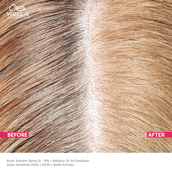 Close-up of blonde roots before and after using Koleston Xpress. In the after image, gray hairs have been covered. 