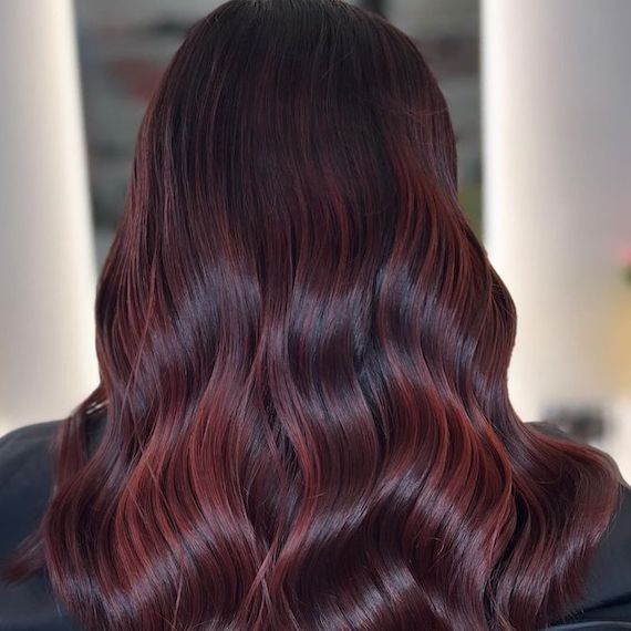 Back of model’s head with deep plum to red purple ombre hair.