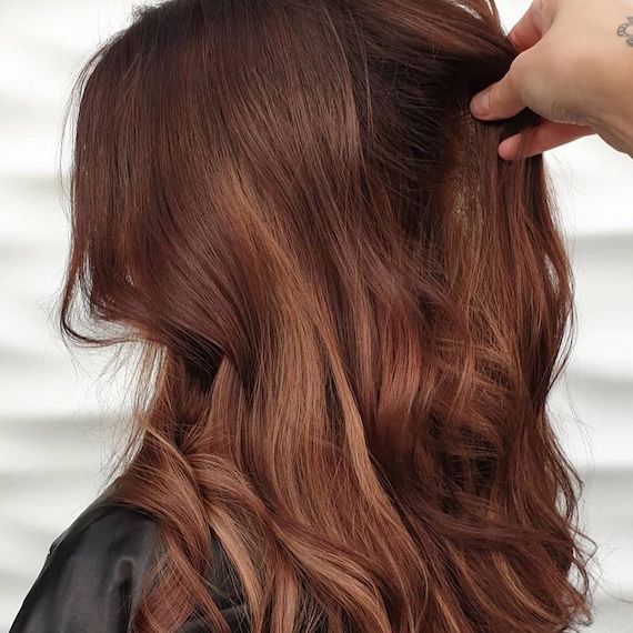 dark red brown hair