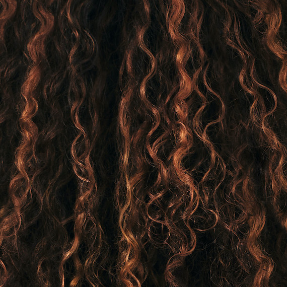 Close-up of brown curly hair with caramel highlights.