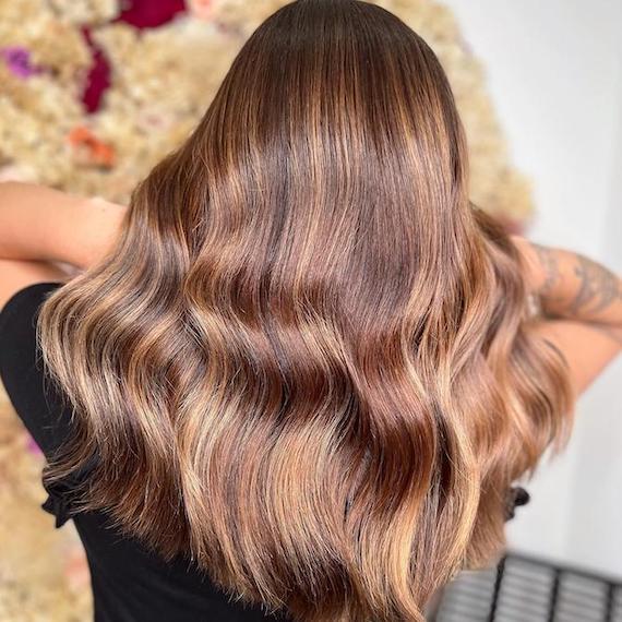 Back of model’s head with brown hair and golden blonde balayage.