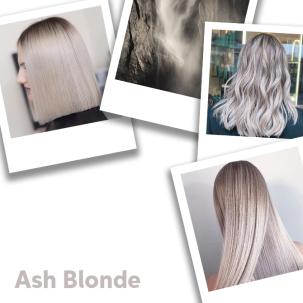 Alle Blondierung wella auf einen Blick