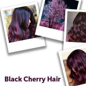 Nahaufnahme Black-Cherry-Haar