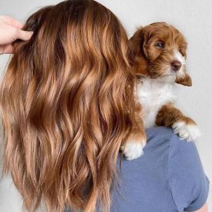 Back of person’s head. They have long cappuccino coloured hair and hold a puppy with the same colour fur over their shoulder.