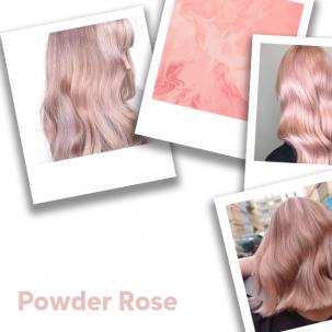 Collage of powder rose hair color