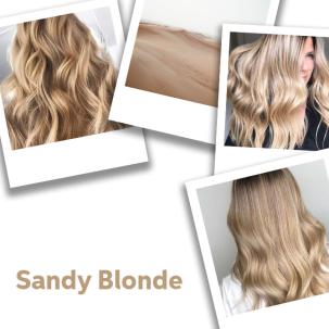 Collage von sandy-blonden Farbideen.