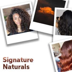 Close up of Signature Naturals Hair