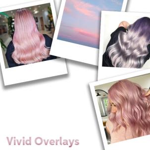 Close up of Vivid Overlays
