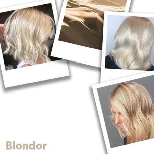 Close up of Blondor Blonde Hair
