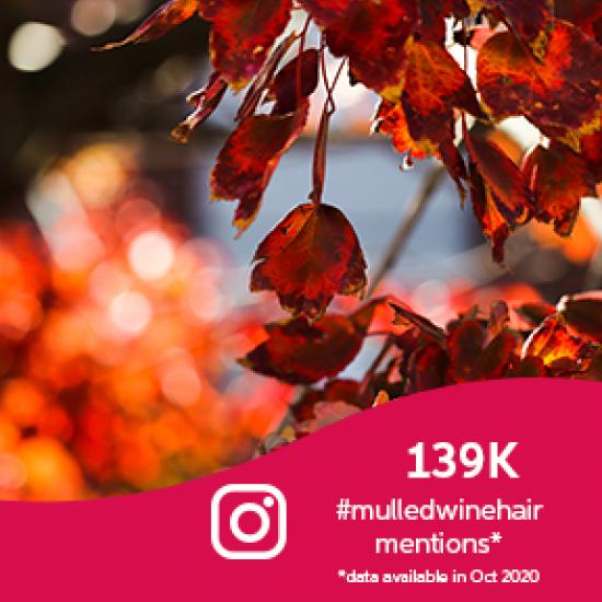 Autumnal leaves with glistening orange light behind 