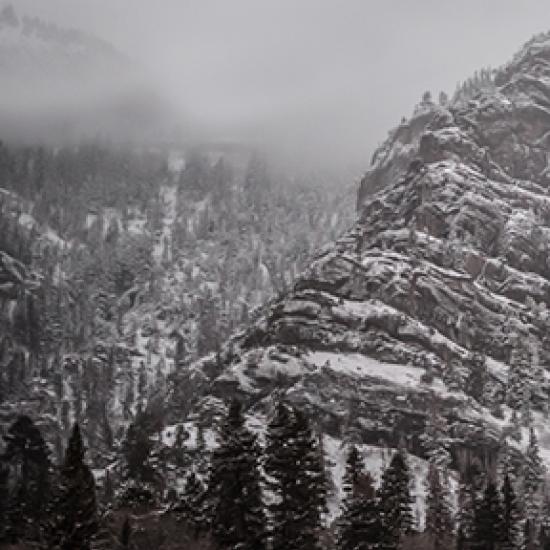 winter on a mountain with trees covered in snow