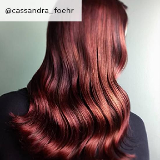 Back of woman’s head with dark auburn hair, created using Wella Professionals.