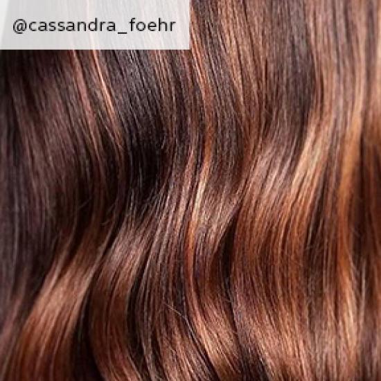 close up of chestnut brown hair