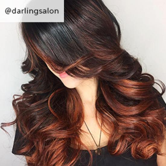 Side of womans head with curled chili chocolate hair