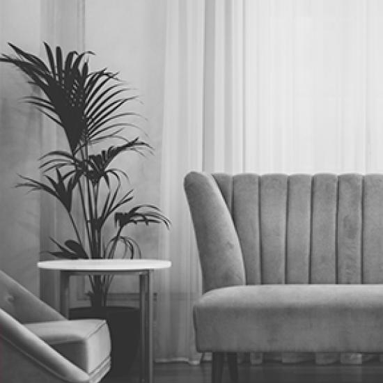 Grey-toned image of plant and sofa. 