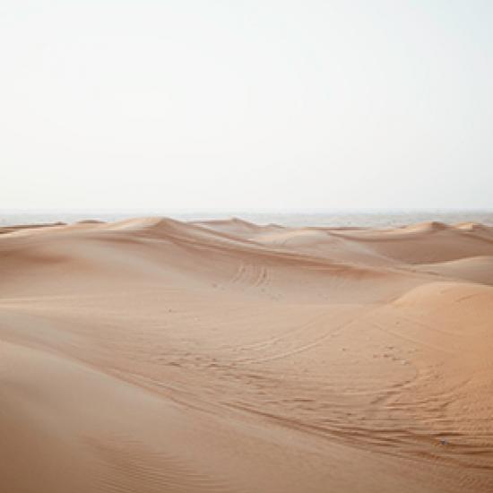 Wüste.