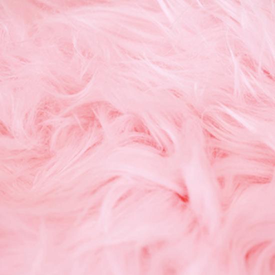 Image of pink feathers