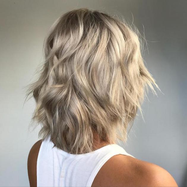 Shorthair Wella Stories