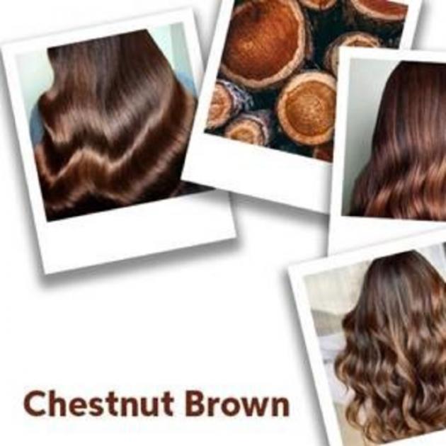 collage of images of models with long, brown hair and  photo of chestnuts 