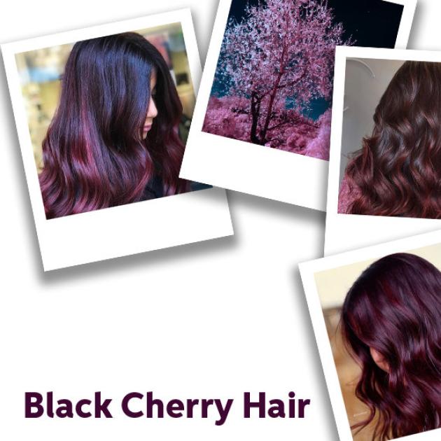 Image of black cherry hair, created using Wella Professionals 