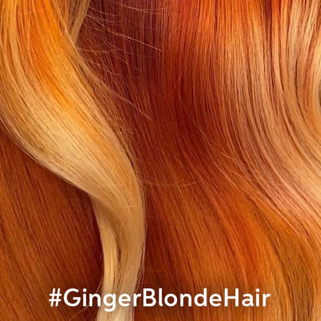 Close up of Ginger Blonde
