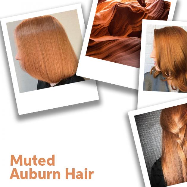Close up of Muted Auburn