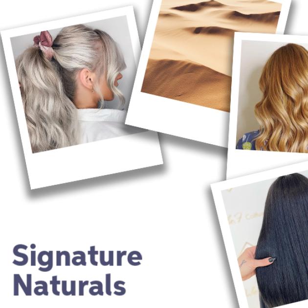 Close up of Signature Naturals Hair
